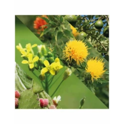 Aceite Para Barba Plisson 21 Aceite Para Barba Plisson -Gifts And Care-ES.com aceite para barba plisson 9