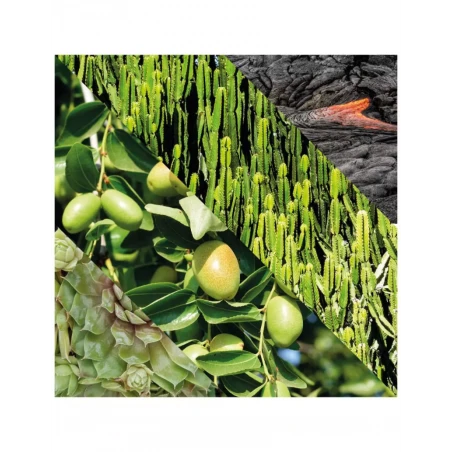 Exfoliante Facial Energizante Plisson 10 Exfoliante Facial Energizante Plisson - Imagen 8