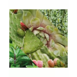 Gel Limpiador Facial Diario Plisson -Gifts And Care-ES.com gel limpiador facial diario plisson 7