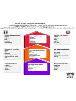 Jabón De Afeitar Saponificio Varesino Felce Aromatica 150gr 7 Jabón De Afeitar Saponificio Varesino Felce Aromatica 150gr -Gifts And Care-ES.com recambio jabon de afeitar saponificio varesino felce aromatica 150gr 1